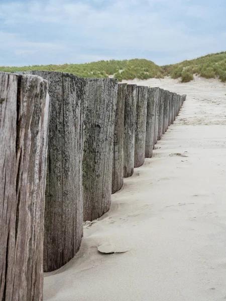 Wooden breakwater along the Dutch coast of Ameland — Stock Photo, Image