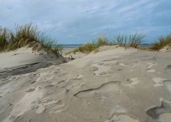 Pohled na duny Amelandu, Holandsko — Stock fotografie