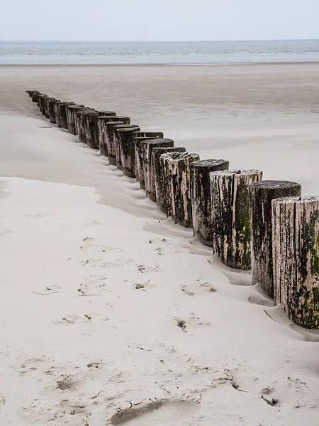 Quebra-mar de madeira ao longo da costa holandesa de Ameland — Fotografia de Stock
