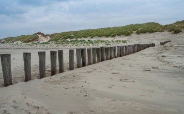 Hollanda 'nın Ameland kıyısındaki ahşap dalgakıran