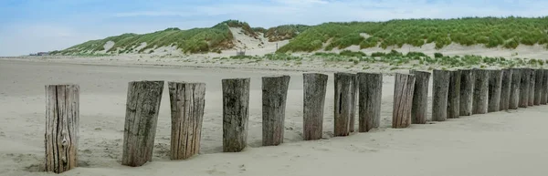 Panoramautsikt över trävågbrytare längs den nederländska kusten i Ameland — Stockfoto