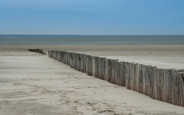 Wooden breakwater along the Dutch coast of Ameland — Stock Photo, Image