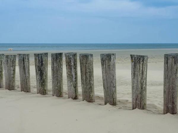 Quebra-mar de madeira ao longo da costa holandesa de Ameland — Fotografia de Stock