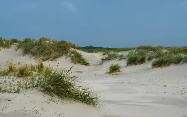 Pohled na duny Amelandu, Holandsko — Stock fotografie