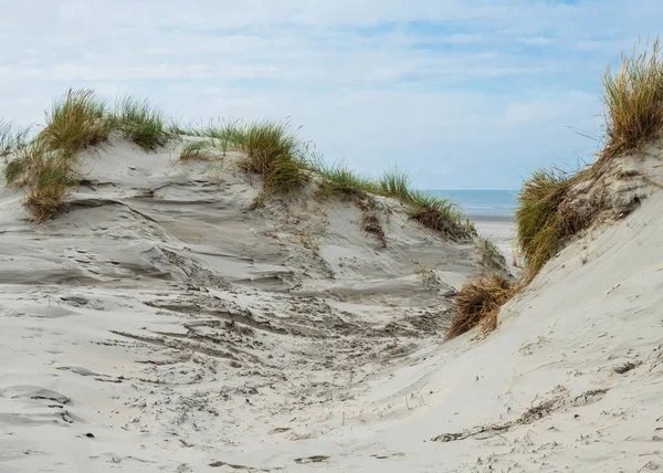 Hollanda, Ameland 'ın kumullarına bakın. — Stok fotoğraf