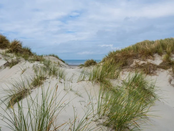 Pohled na duny Amelandu, Holandsko — Stock fotografie