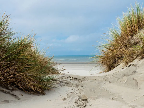 Pohled na duny Amelandu, Holandsko — Stock fotografie