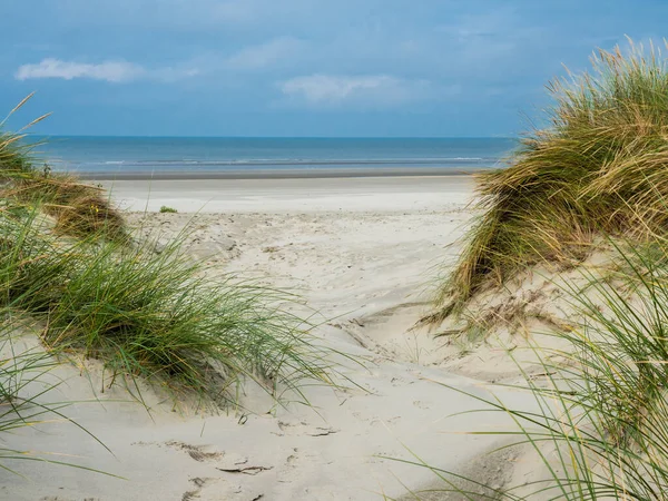 Vista sulle dune di Ameland, Olanda — Foto Stock