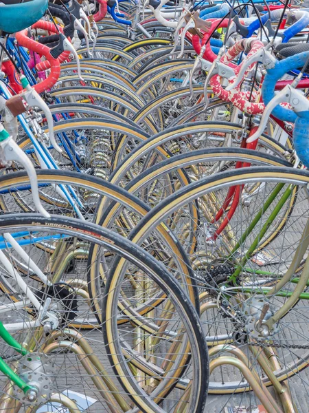 Vintage bicycles nicely parked — Stock Photo, Image