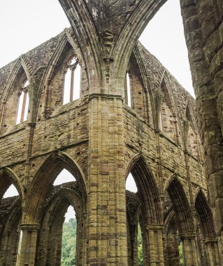 Tintern Abbey, Galler'deki eski bir kilise kalıntıları