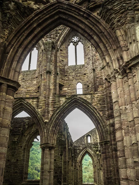 Tintern Abbey, Wales-ben, egy templom romjai — Stock Fotó