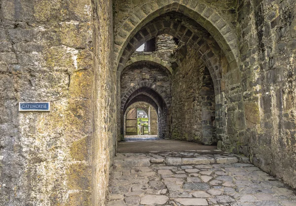 Harlech castle — Stockfoto