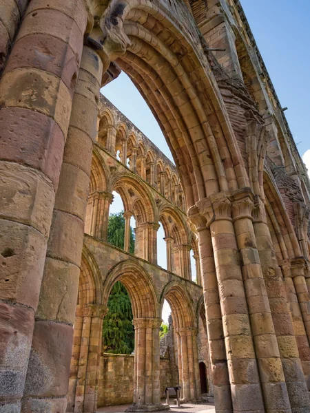 Jedburgh Abbey, Skotland - Stock-foto