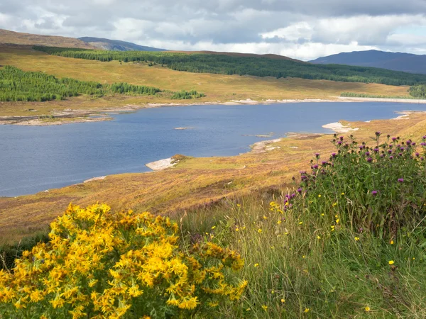 Rozhledna nad Loch Ness, Skotsko — Stock fotografie