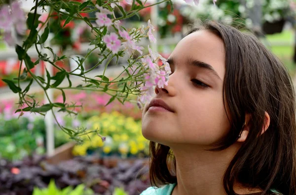Chica que huele a flores fotos de stock, imágenes de Chica que huele a  flores sin royalties | Depositphotos