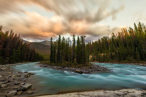 Řeka Sunwapta Úžasná Tyrkysová Řeka Jasperu Alberta Kanada — Stock fotografie