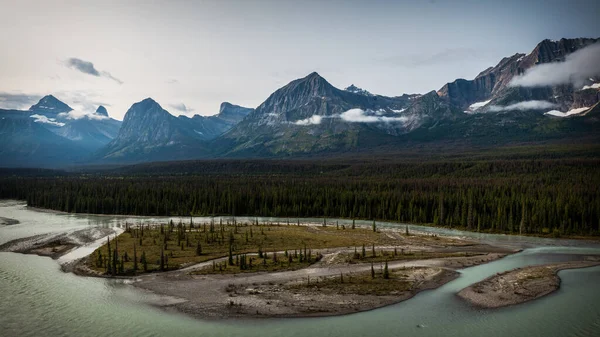 Beautiful View Athabasca River Icefields Parkway Island Sparse Trees Mountains — Stock Photo, Image