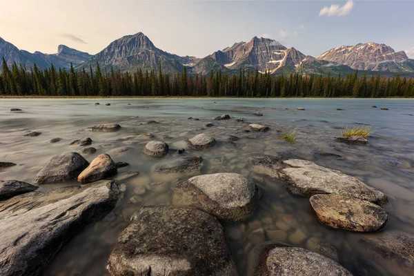 加拿大艾伯塔省贾斯帕国家公园冰原公园沿线的岩石 背景上有森林和山脉 — 图库照片