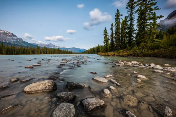 Photo Des Rochers Rivière Athabasca Long Promenade Des Glaciers Dans — Photo