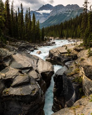 Mistaya Kanyonu güzel bir sonbahar gününde arka planda dağlarla birlikte Jasper Ulusal Parkı, Alberta, Kanada