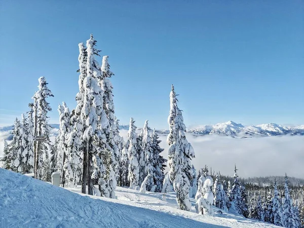 Mist Rolt Binnen Een Mooie Zonnige Ochtend Mount Washington Vancouver — Stockfoto