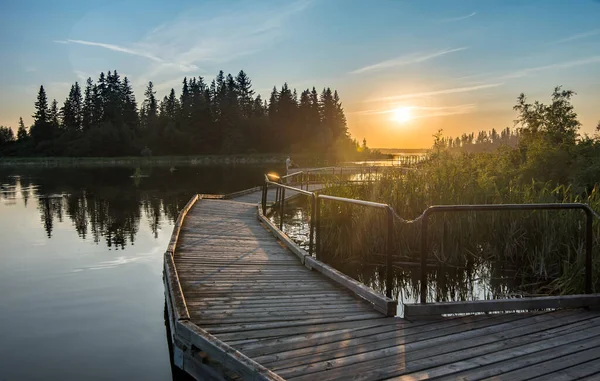 Parcul Național Elk Island Primește Târgul Fani Celorlalte Parcuri Mari — Fotografie, imagine de stoc