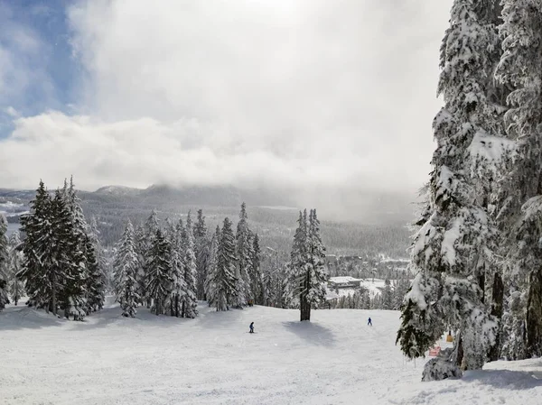 Foto Este Fin Semana Pasado Hasta Snowboard Washington — Foto de Stock