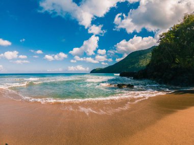 Güneşli bir günde palmiye ağaçları ve dalgalarıyla Karayip sahilleri