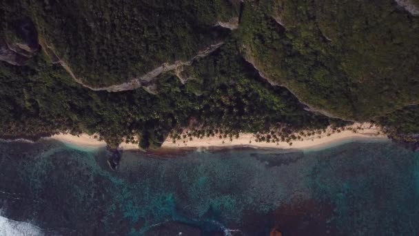 Playa Paradisíaca Con Palmeras Montañas — Vídeos de Stock