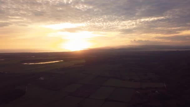 Zonsopgang Met Gedaan Natuur Het Bos — Stockvideo