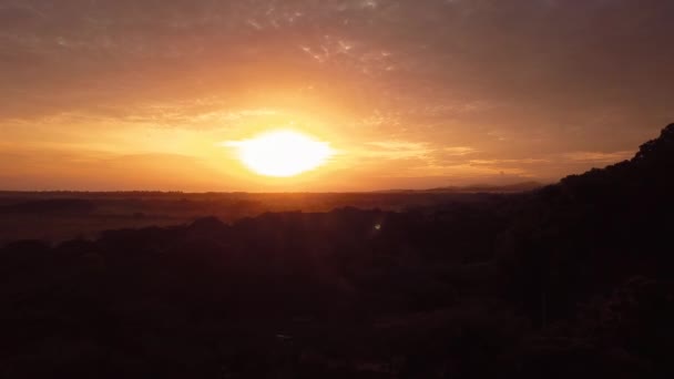 Zonsopgang Met Gedaan Natuur Het Bos — Stockvideo