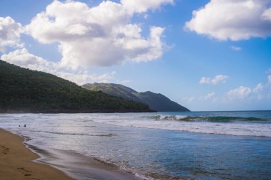 Güneşli bir günde palmiye ağaçları ve dalgalarıyla Karayip sahilleri