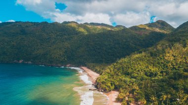 Güneşli bir günde palmiye ağaçları ve dalgalarıyla Karayip sahilleri