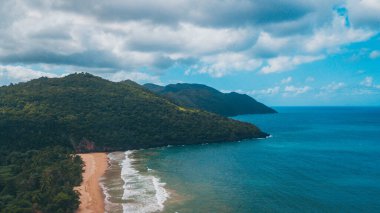 Güneşli bir günde palmiye ağaçları ve dalgalarıyla Karayip sahilleri