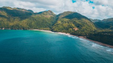 Güneşli bir günde palmiye ağaçları ve dalgalarıyla Karayip sahilleri