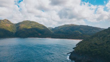 Güneşli bir günde palmiye ağaçları ve dalgalarıyla Karayip sahilleri