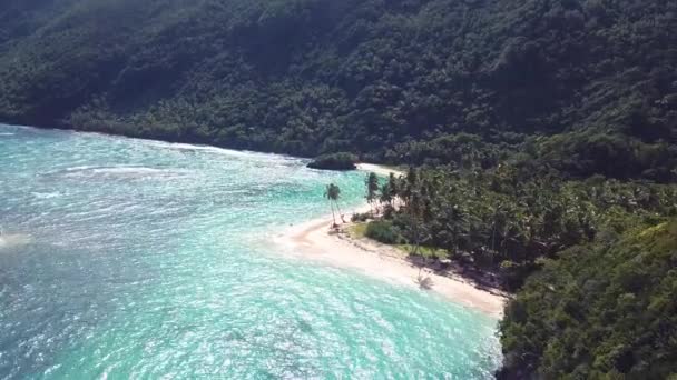 Drone Riprese Spiaggia Vergine Montagna Persone Piedi Spiaggia — Video Stock