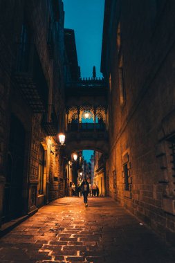 Barselona 'da bizon göleti