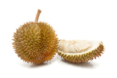 Beyaz arka plan üzerinde Durian bilinen Asya tropik meyve