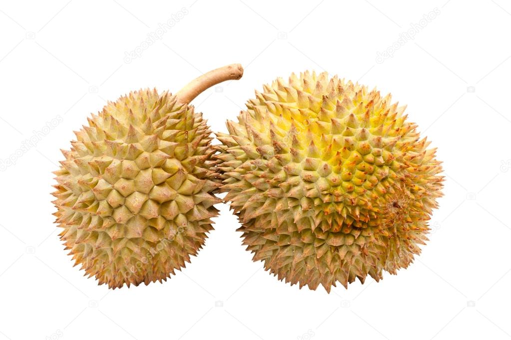 Asian tropical fruit known as Durian, Isolated on white