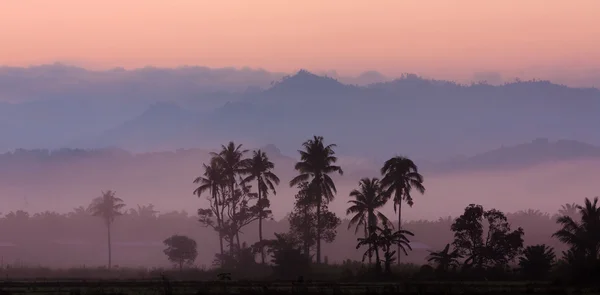 Capas de colinas brumosas al amanecer en Kota Marudu, Sabah, Malasia Oriental, Borneo — Foto de Stock