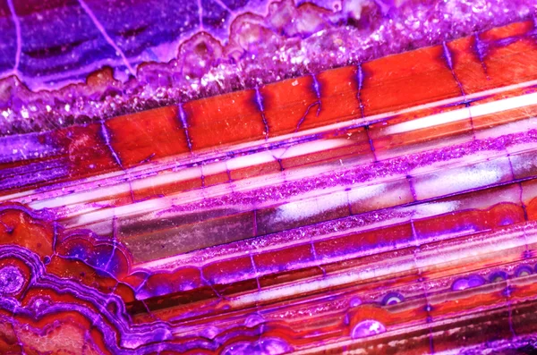 Красно-фиолетовый дракон — стоковое фото