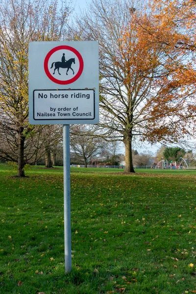 브리스톨 2020 잉글랜드 브리스톨 공원에서 흔적이 가까이 — 스톡 사진