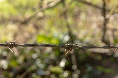 Bir çiftliği çevreleyen dikenli tellerin yakın görüntüsü 