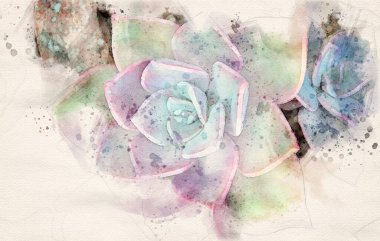 Kil kapta sulu renkli bir kayanın yakın görüntüsü 