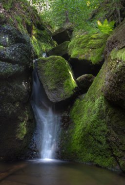 Şelale kayalarda Moss ile