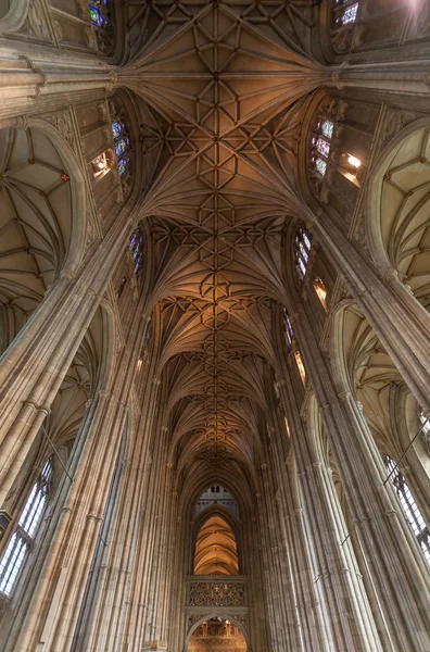Detail stropu a sloupců Canterburské katedrály Stock Fotografie