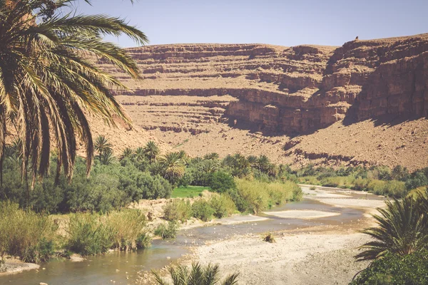Breed uitzicht op de canyon en akkers en palmen in Errachidi — Stockfoto