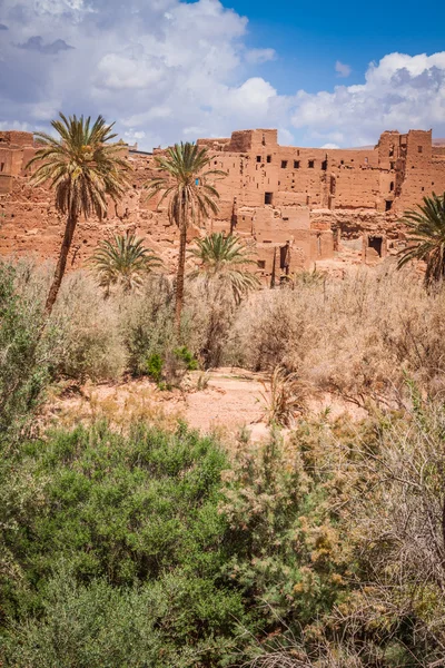 Village de Tinerhir près de Georges Todra au Maroc — Photo