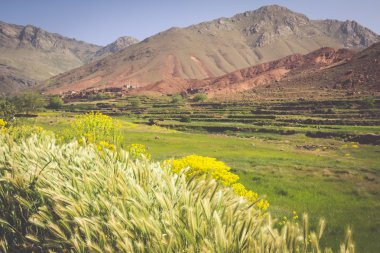 Morocco, High Atlas Mountains, Agricultural land on the fertile  clipart
